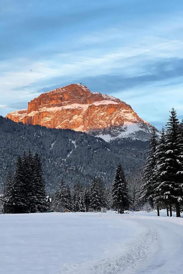 Cesa Pier Sellaronda Dolomiti Apartman Campitello di Fassa Kültér fotó