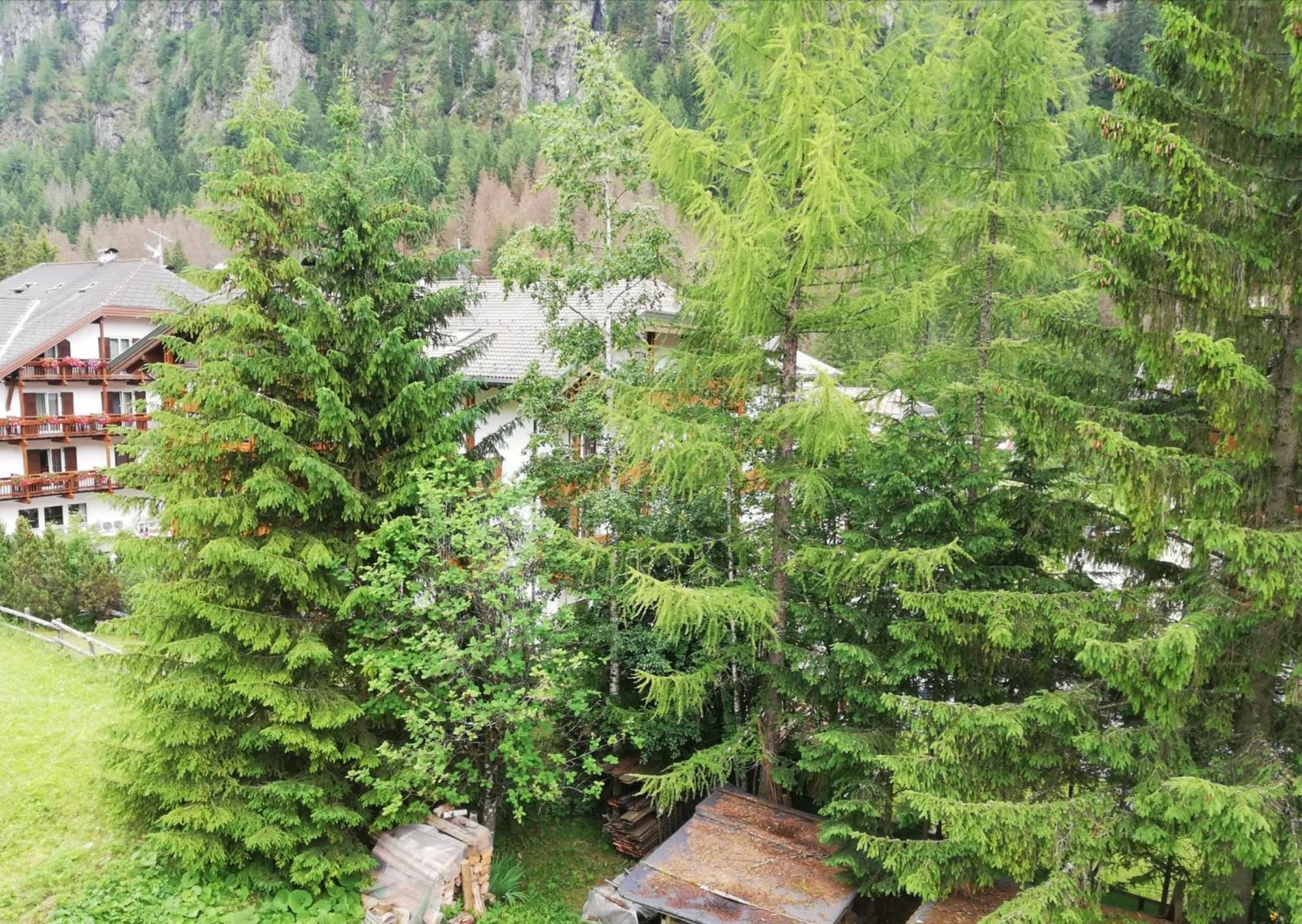 Cesa Pier Sellaronda Dolomiti Apartman Campitello di Fassa Kültér fotó